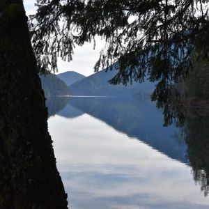 Meet your Posher, Jeff